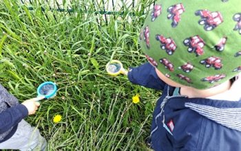 2023-06-22 11_29_56-Jede Blüte zählt und lässt den Garten zwitschern (Schreibgeschützt) - Microsoft