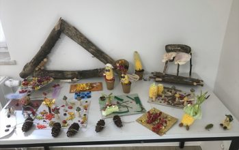 2023-08-30 17_39_24-222.jpg ‎- Fotos